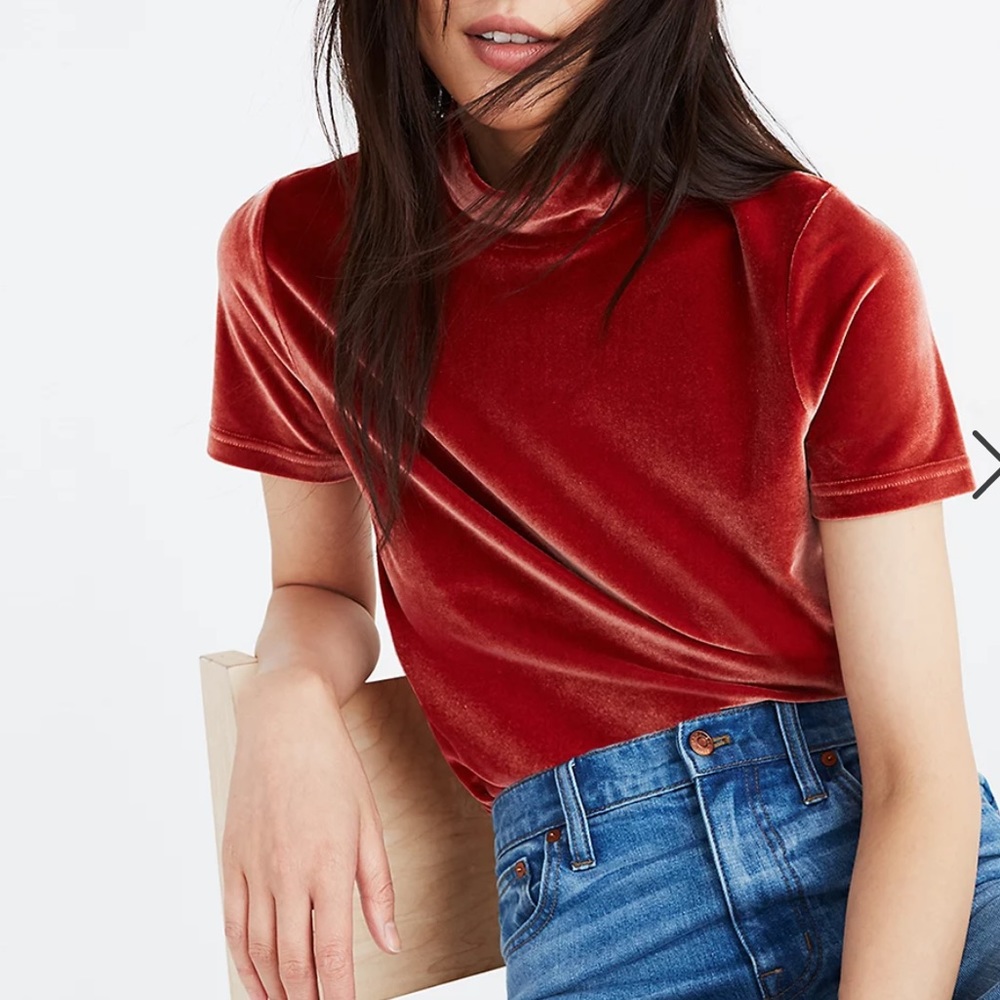 Madewell Sz M Velvet Mockneck Top EUC